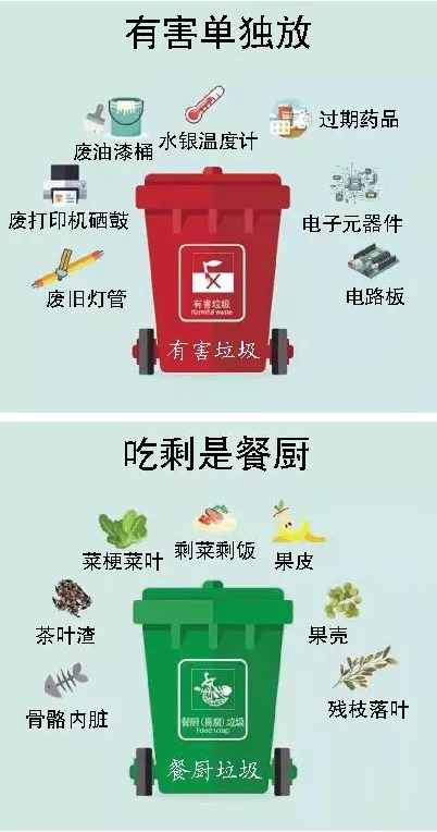 分可回收物,有害垃圾,易腐垃圾和其他垃圾