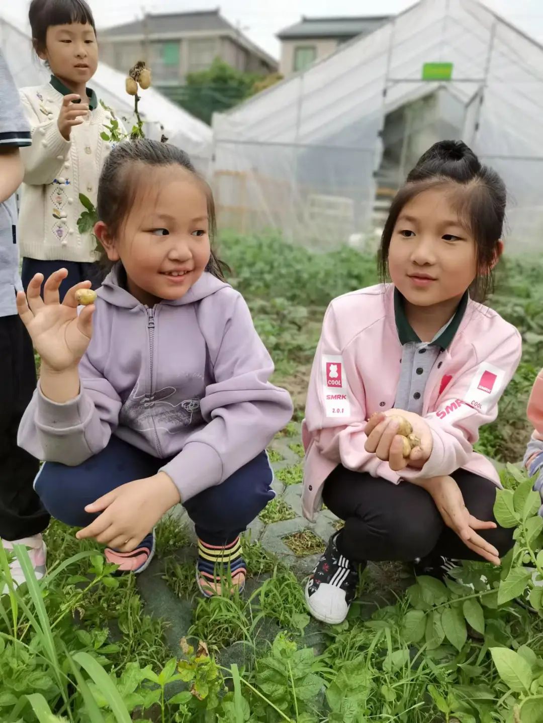 新奇！兴华街这所小学有个“开心农场”，学生动手实践种满果蔬